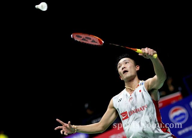 第一季度 第一季度