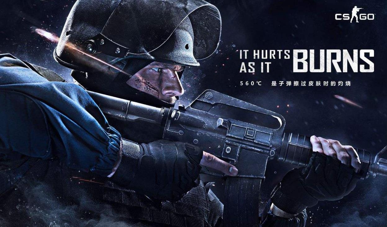 与营养周期 与营养周期